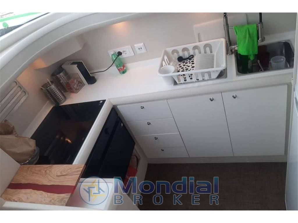 Mochi Craft Dolphin 51