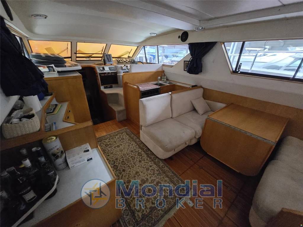 Cheer Men Marine Seahawk 50'