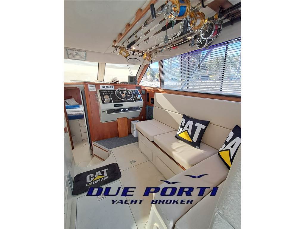 Phoenix 33 sport fish.