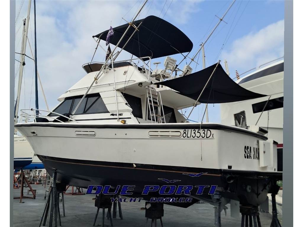 Phoenix 33 sport fish.