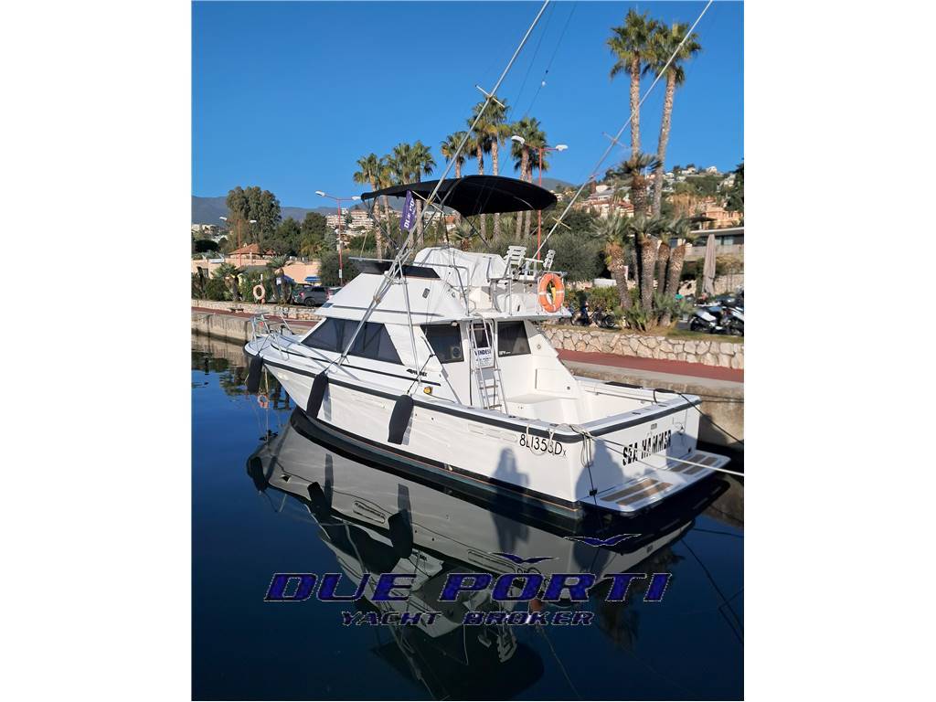 Phoenix 33 sport fish.