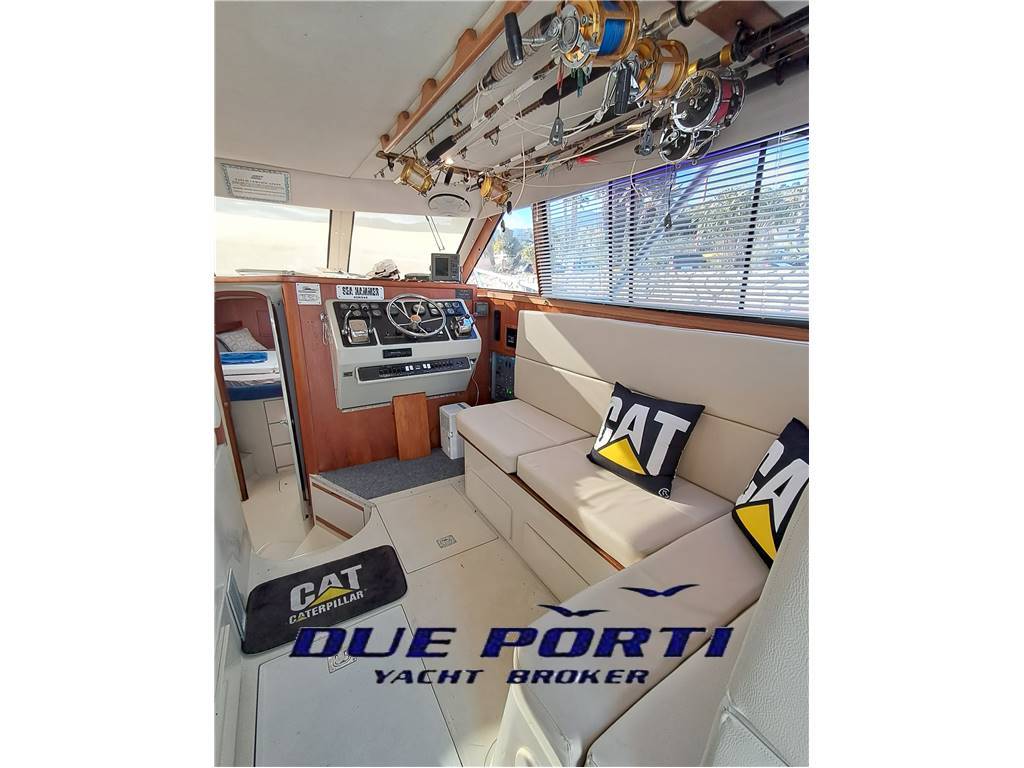 Phoenix 33 sport fish.