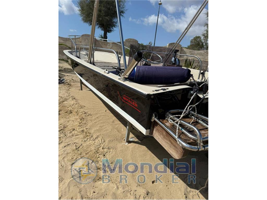 BOSTON WHALER 17