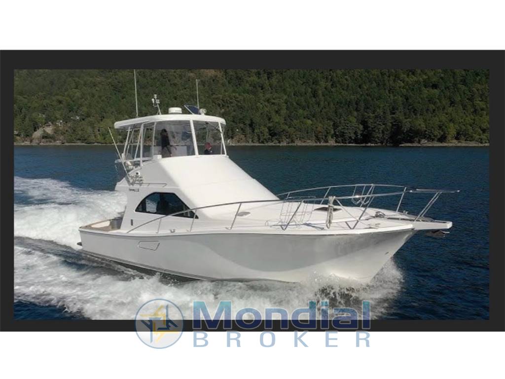 CABO 43 FLY