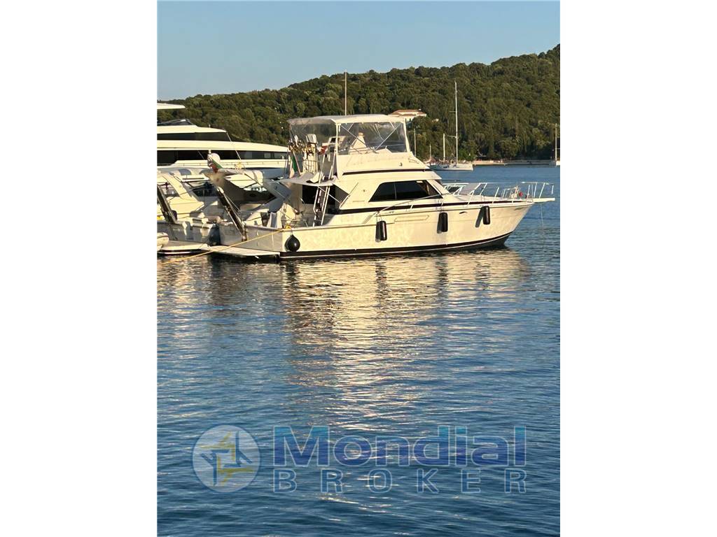Bertram 43 convertible
