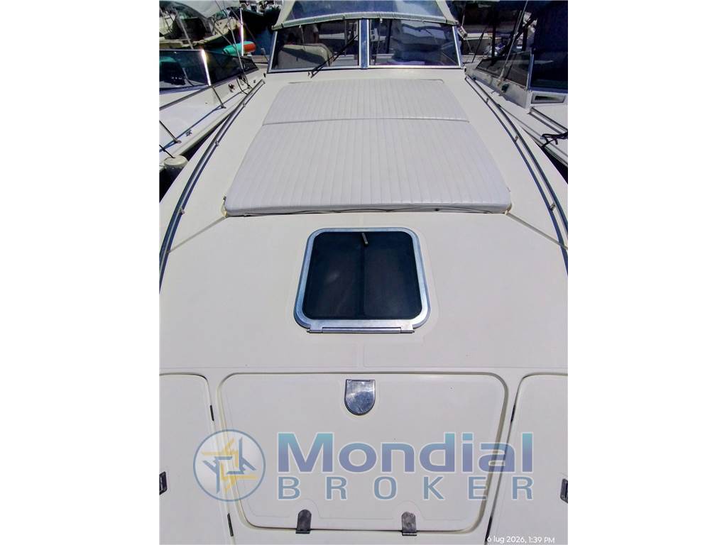 Fiart Mare 35 genius
