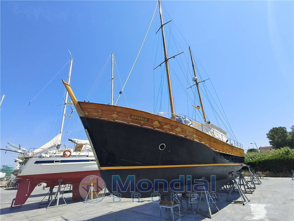 Moltedo Pexino VI