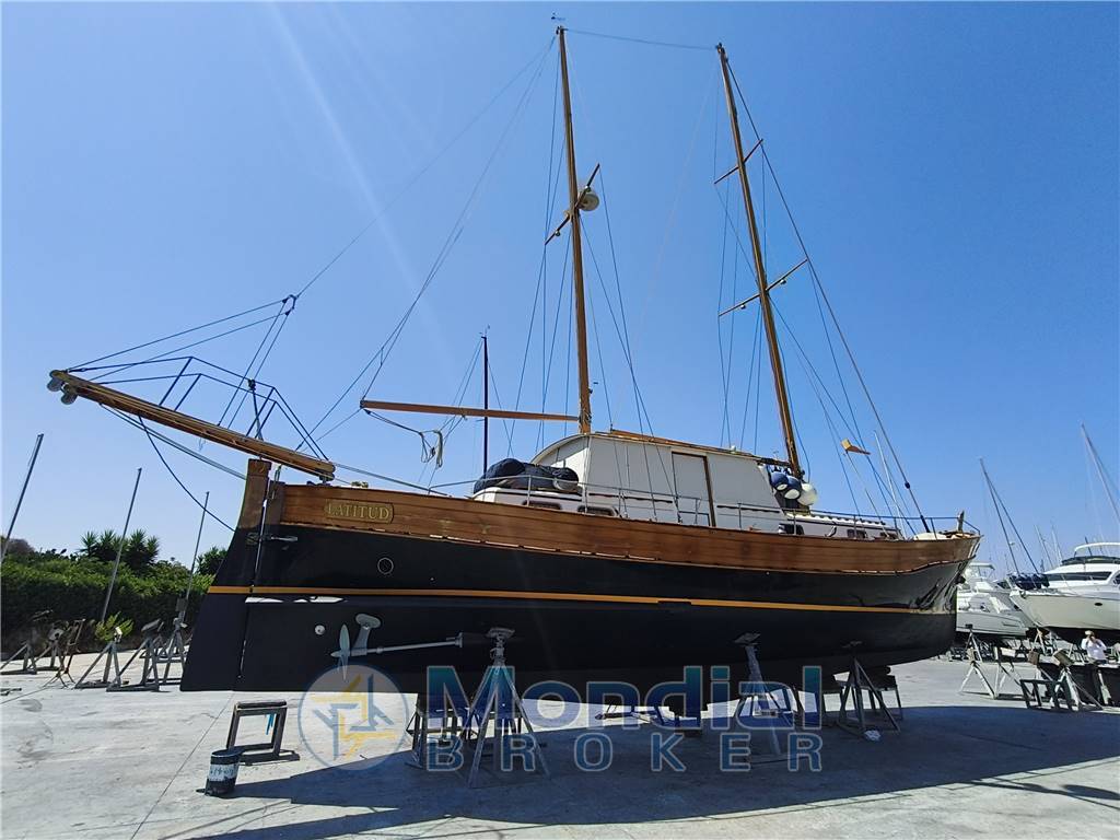 Moltedo Pexino VI