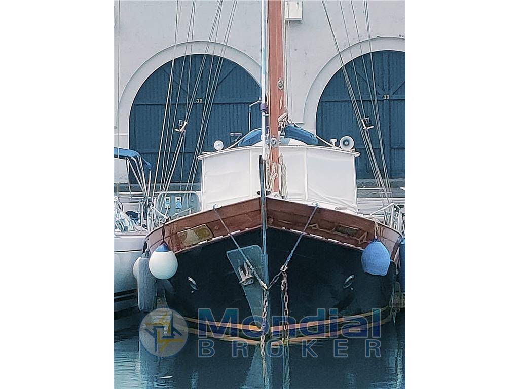 Moltedo Pexino VI