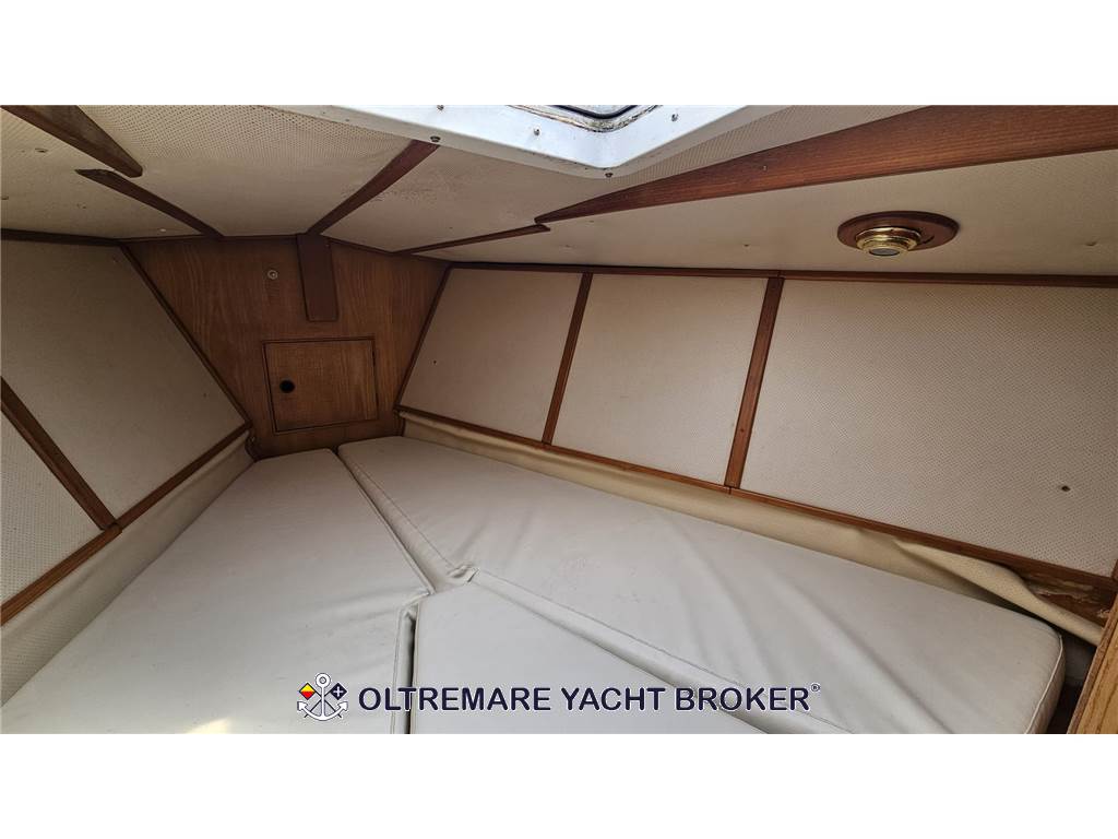 OYSTER MARINE OYSTER 37