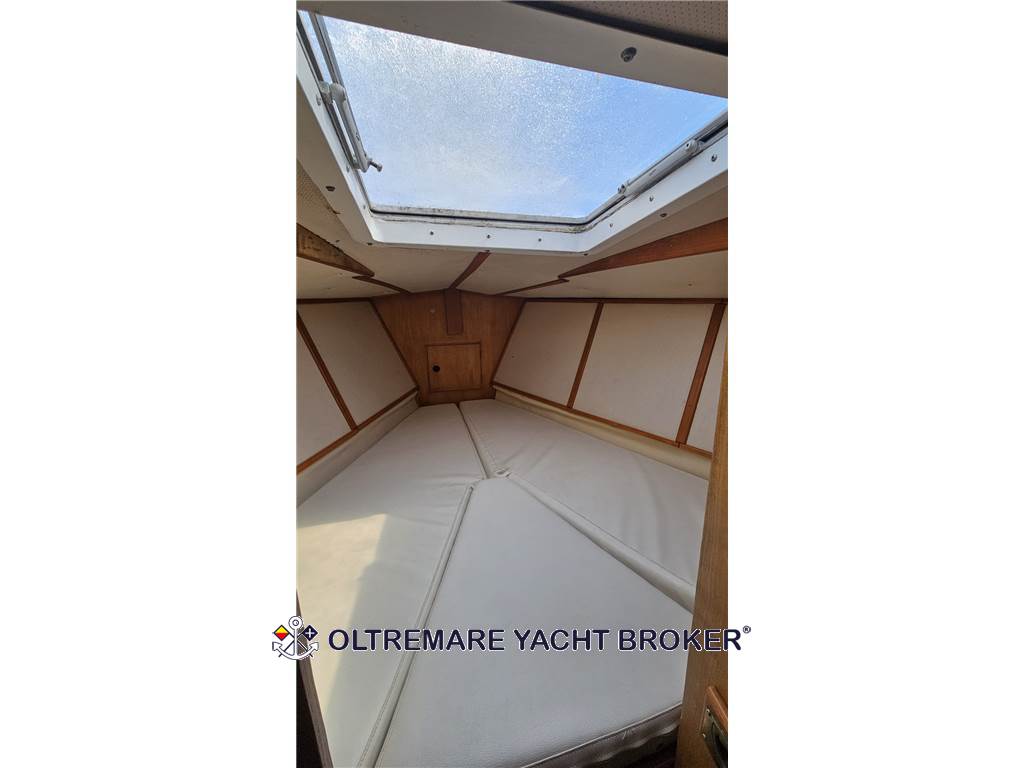 OYSTER MARINE OYSTER 37