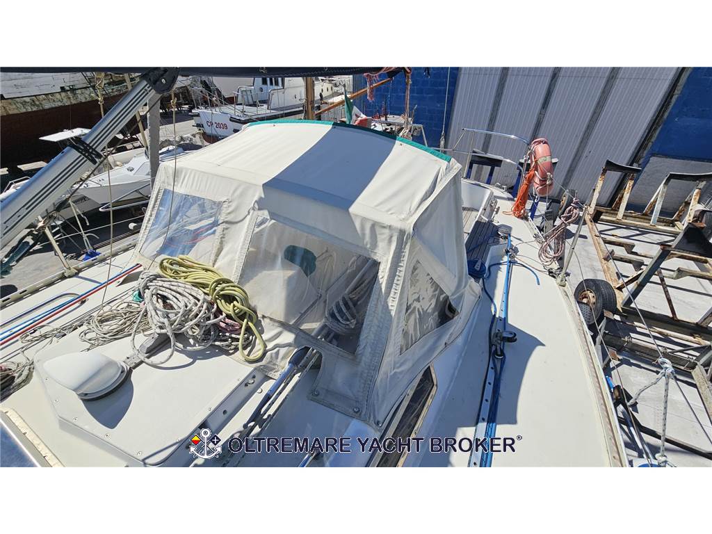 OYSTER MARINE OYSTER 37