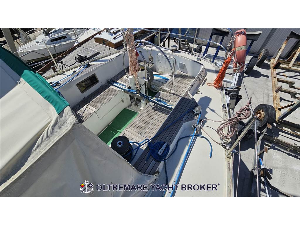 OYSTER MARINE OYSTER 37