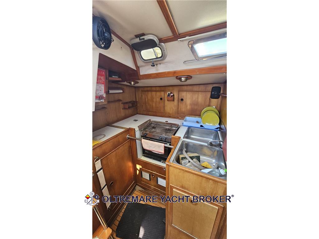 OYSTER MARINE OYSTER 37
