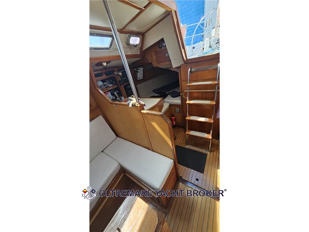 OYSTER MARINE OYSTER 37