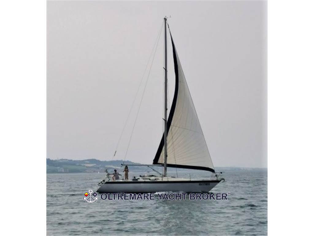 OYSTER MARINE OYSTER 37