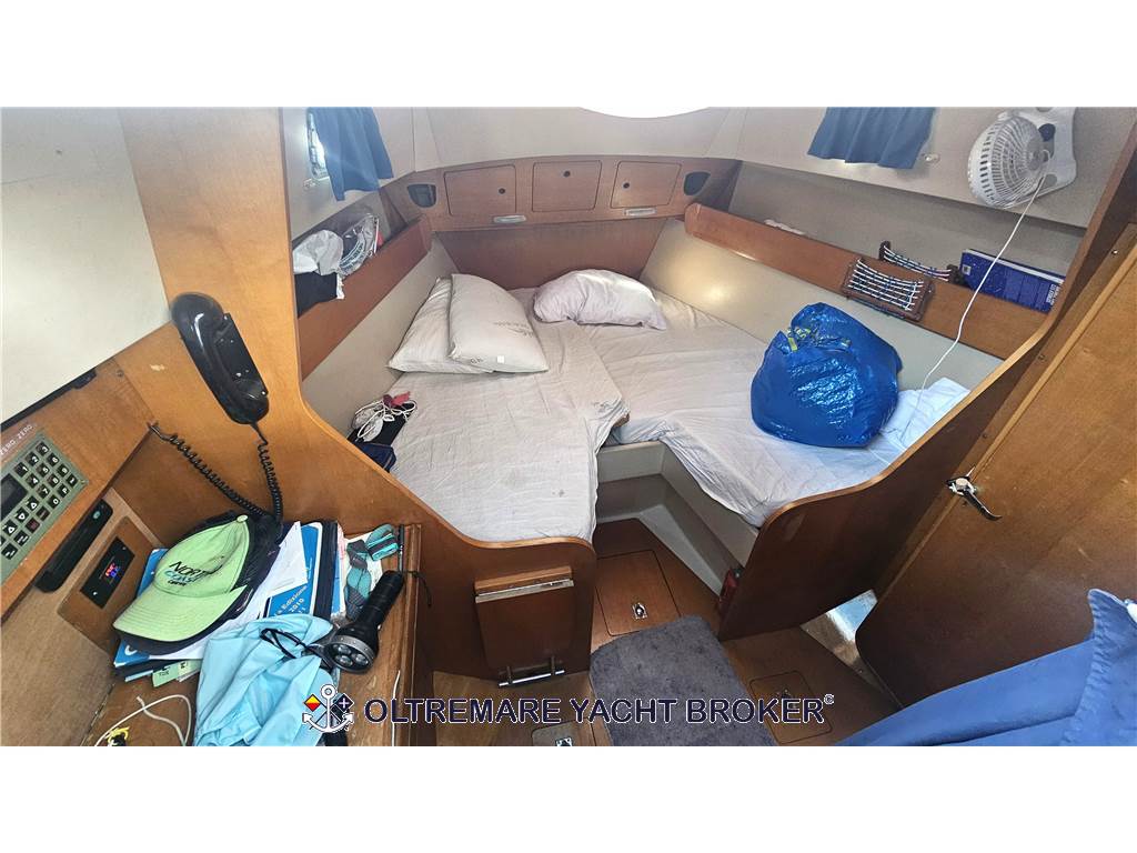 ALPA ALPA 38