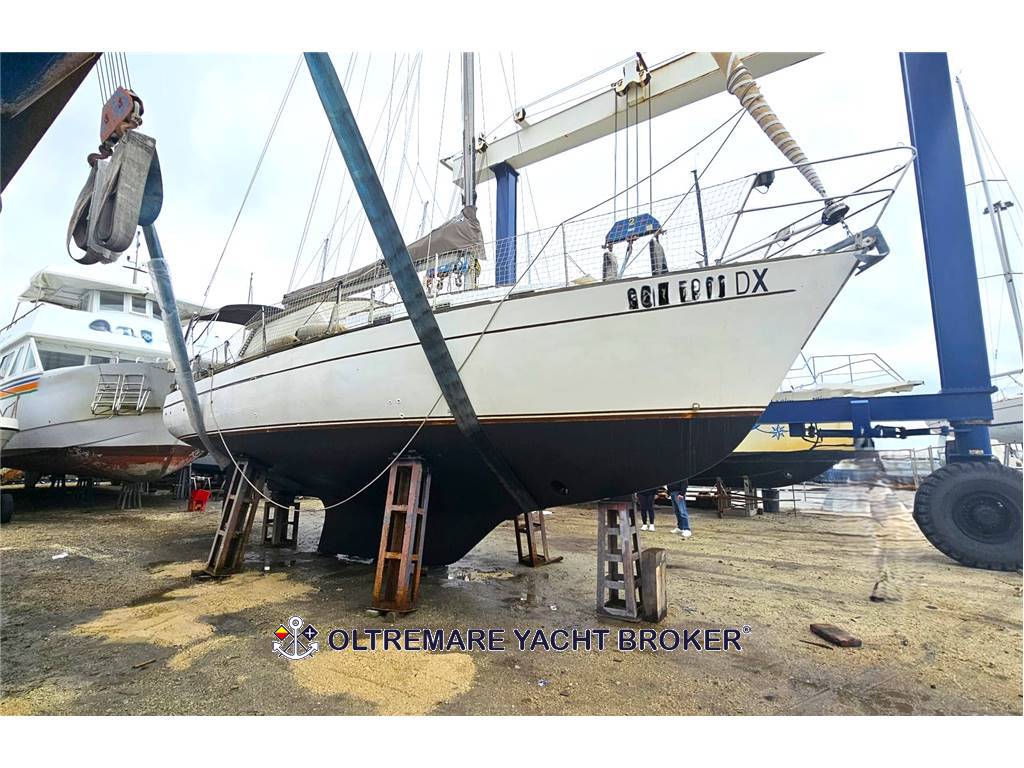 FRANCHINI ADRIATICO 37