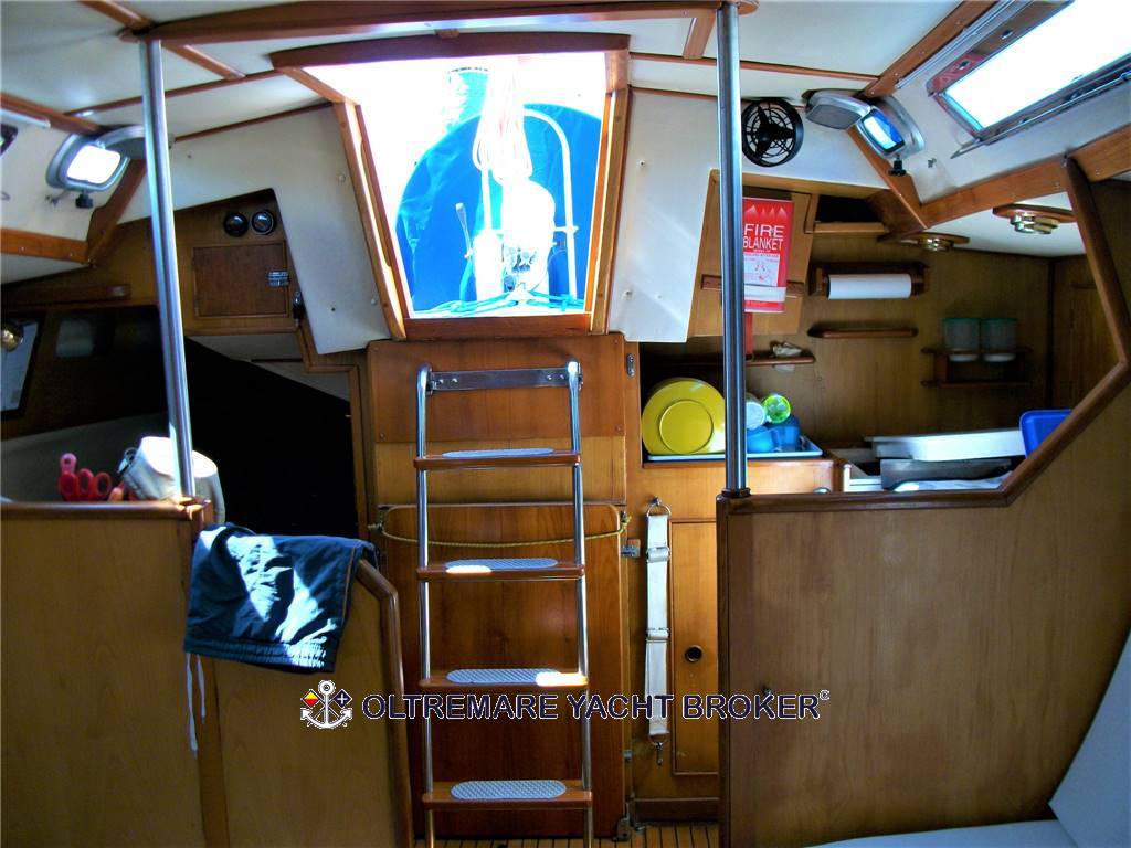 OYSTER MARINE OYSTER 37