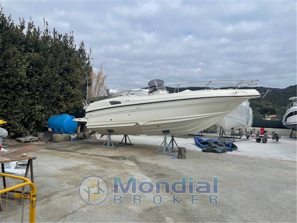 RANCRAFT  RANIERI MARINE RV 27 BIMOTORE