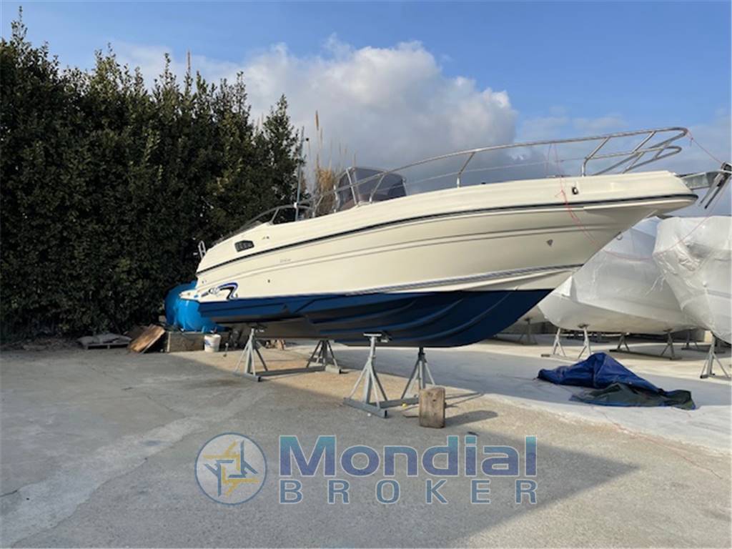 RANCRAFT  RANIERI MARINE RV 27 BIMOTORE