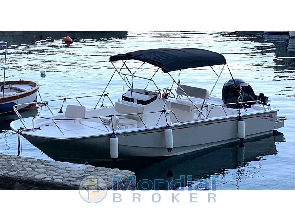 BOSTON WHALER MONTAUK  21