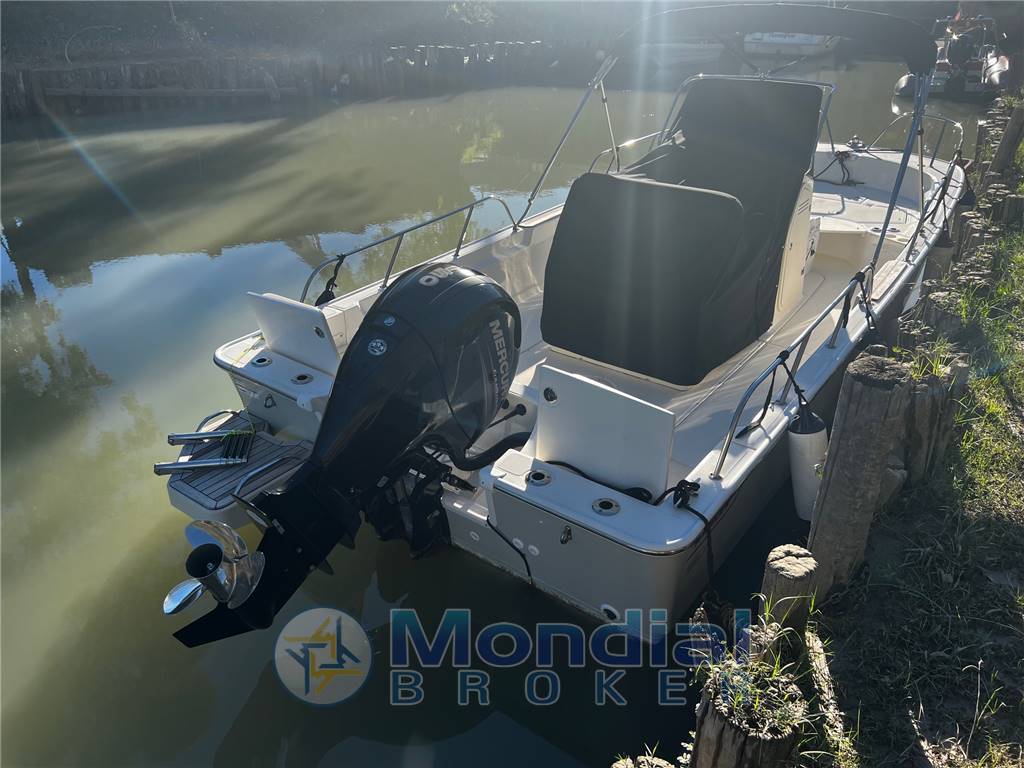 BOSTON WHALER MONTAUK  21