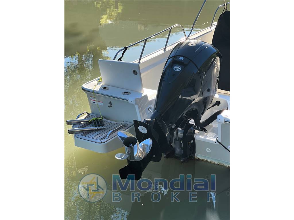BOSTON WHALER MONTAUK  21