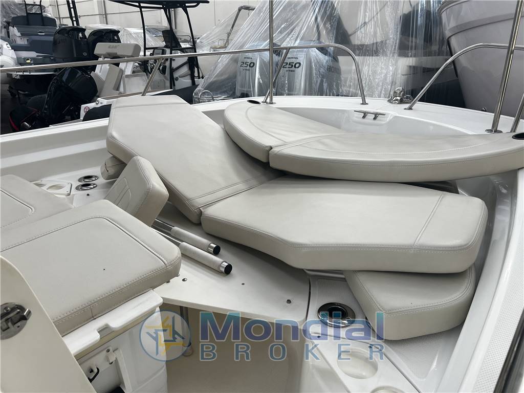 BOSTON WHALER MONTAUK  21