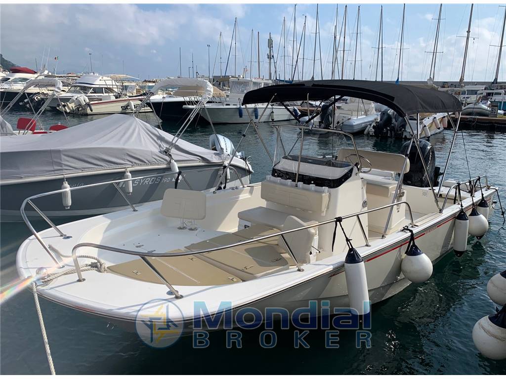 BOSTON WHALER MONTAUK  21