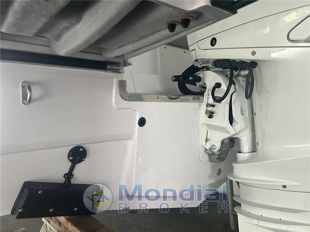 RANIERI INTERNATIONAL NEXT 255  LX