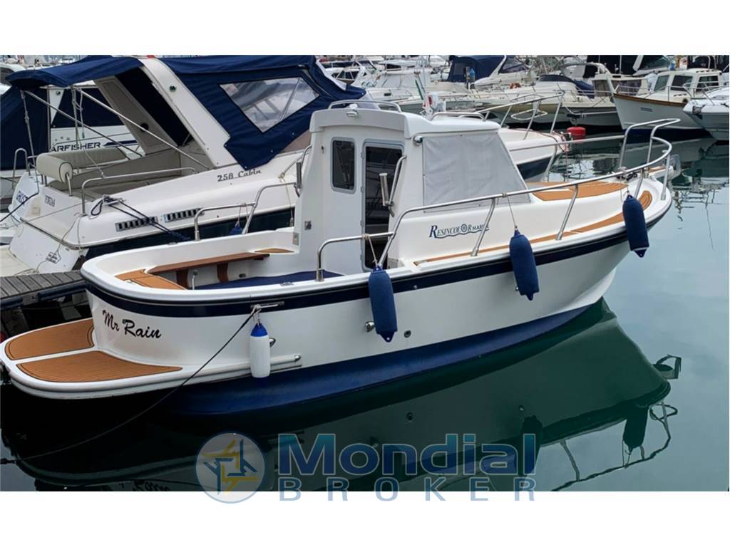 RESINCOLOR R 20 Cabin