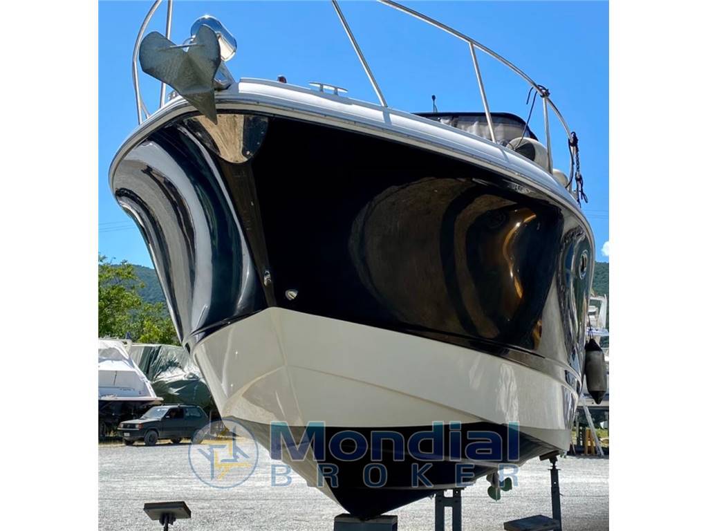 CHAPARRAL 310  Signature