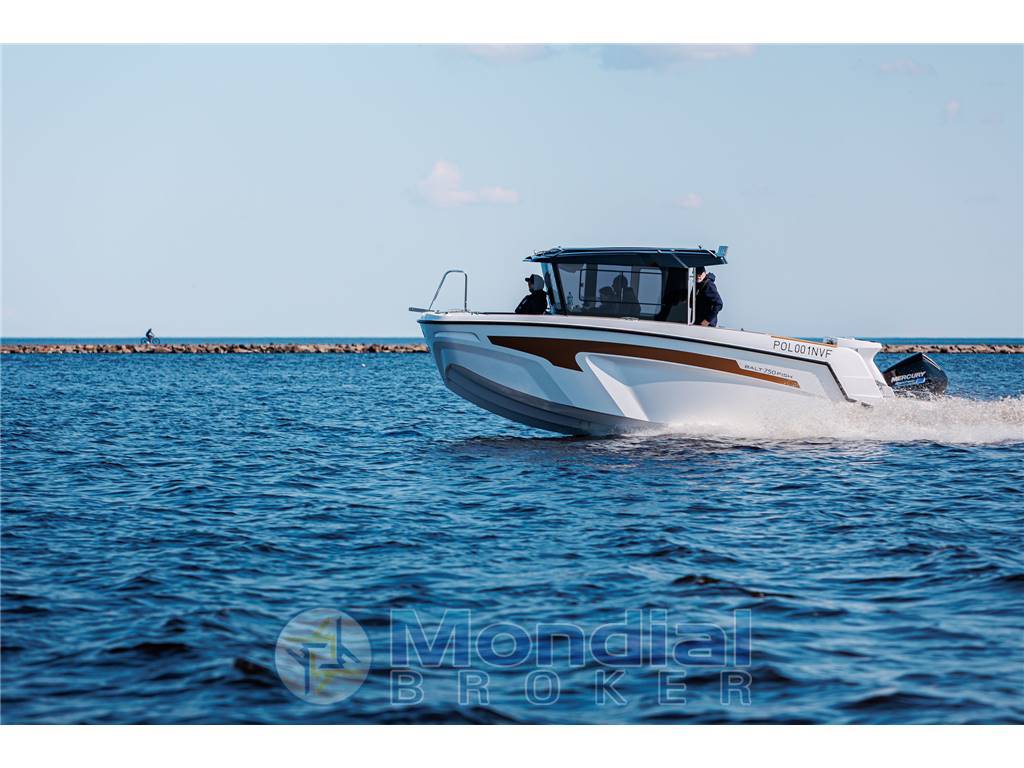 BALT YACHT 750 fish