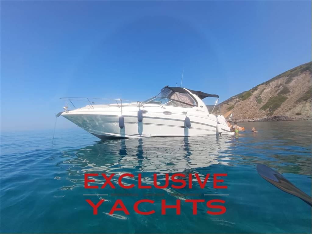 SEARAY 315 Sundancer
