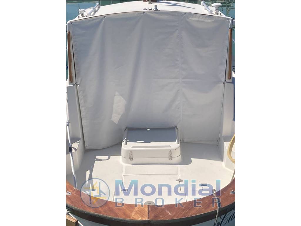 Sciallino 20