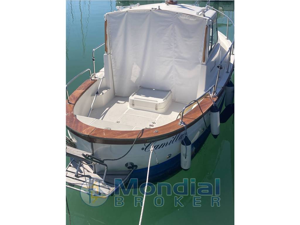 Sciallino 20