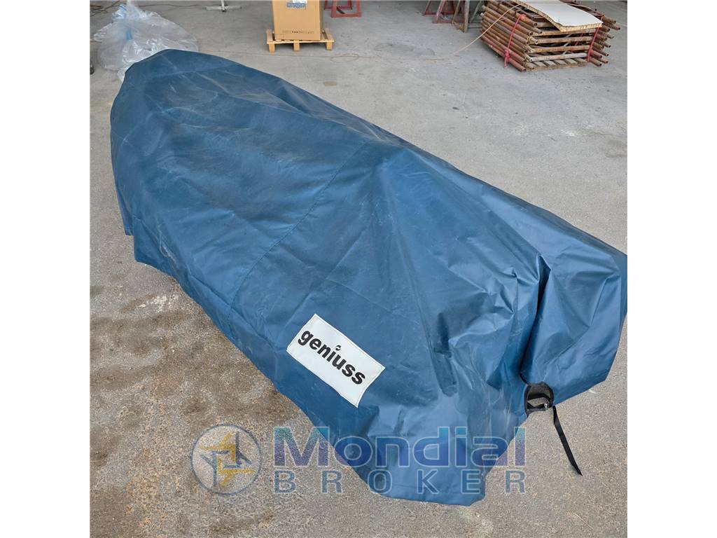 Geniuss Geniuss 330 cruiser