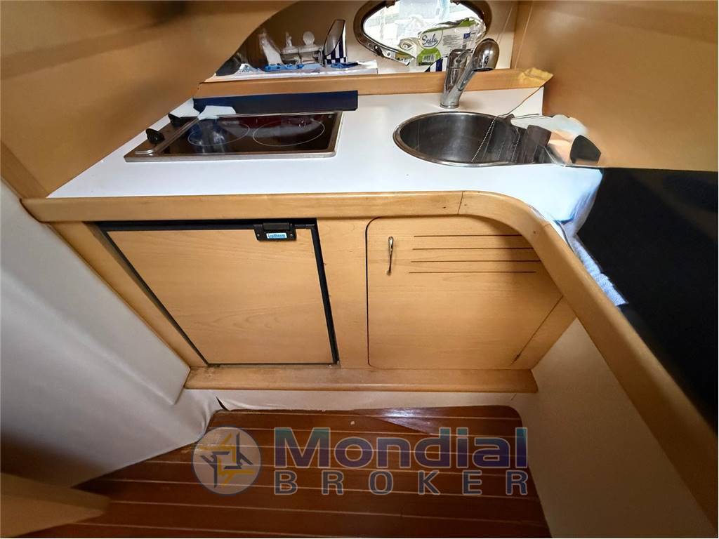 BRUNO ABBATE PRIMATIST G 41