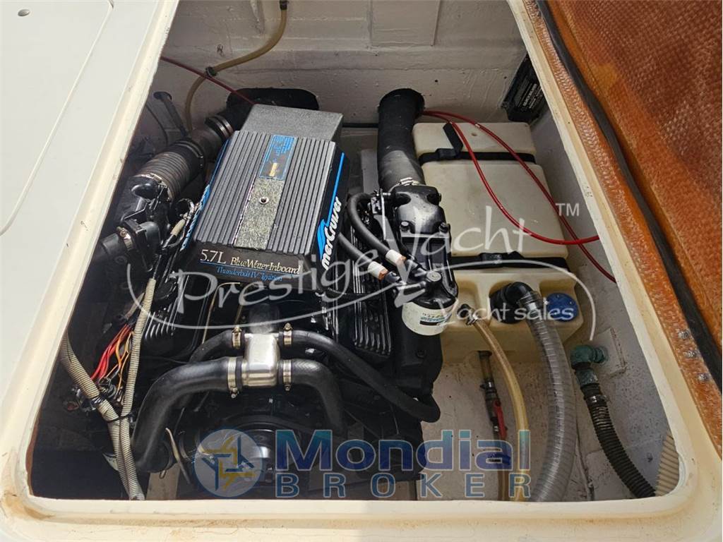 Bertram 28 Moppie