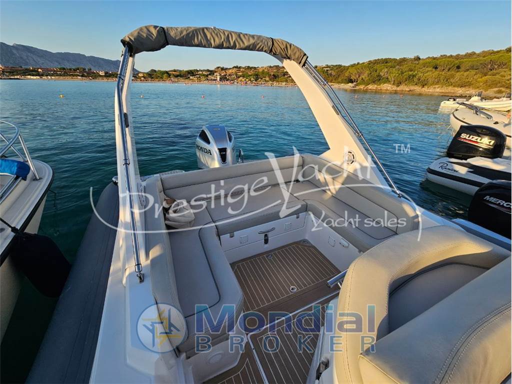 Salpa Soleil 28