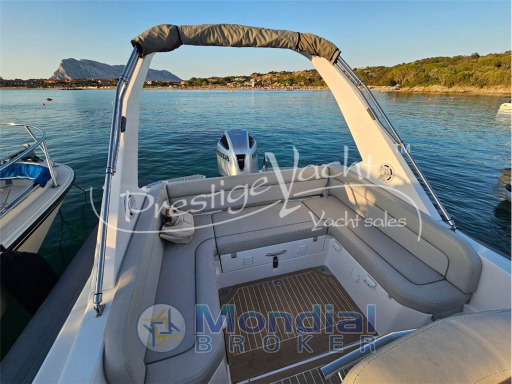 Salpa Soleil 28