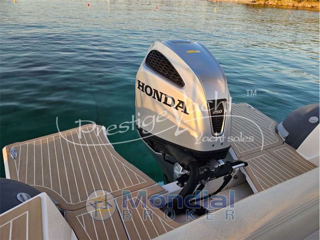 Salpa Soleil 28