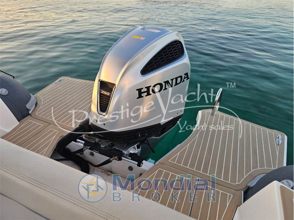 Salpa Soleil 28