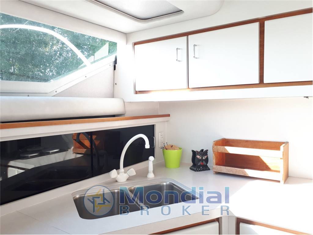 CRUISER INC. USA 4280