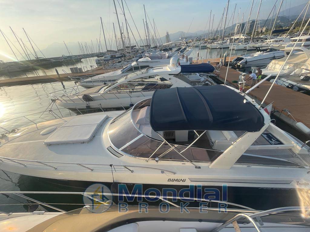 BAIA 43 BIMINI