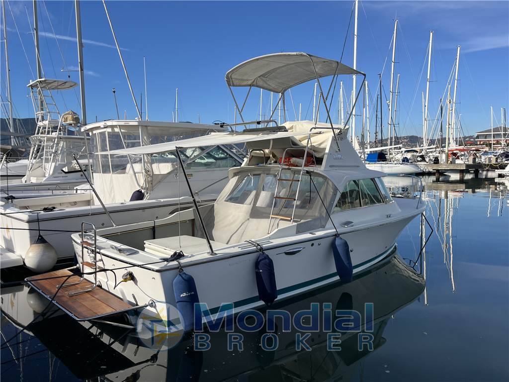Riva Bertram 25