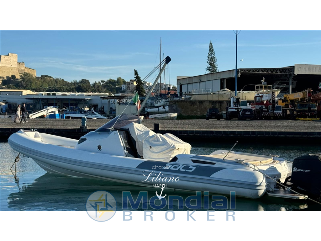 Sacs Strider 11