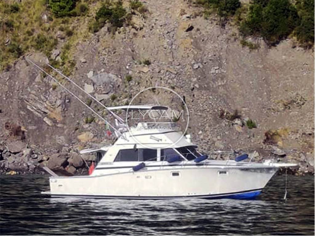 Bertram 38