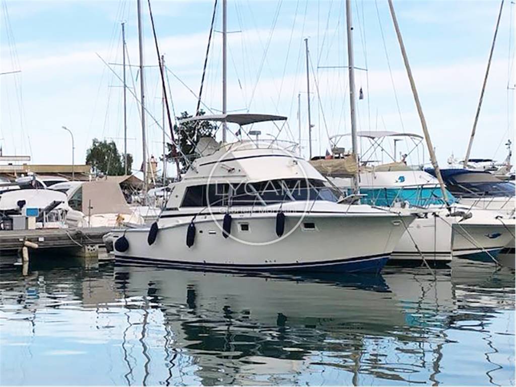 Bertram 38